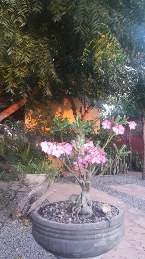 ساو ميجيل دو غوستوسو Pousada Caju Verde المظهر الخارجي الصورة